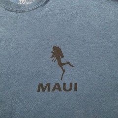 The Mountain Tshirt Mens Large Blue Confidence Scuba Diving Shark Graphic Tee