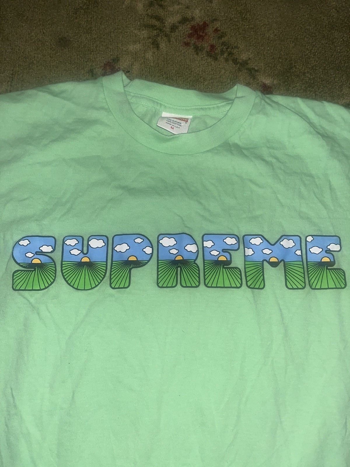 Supreme Mint This Is The Sh*t Tee Size Medium Men’s SS16 Shortsleeved Streetwear gallery