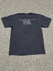 Vintage 1995 Van Morrison Days like this US & Canada single stitch tee size M