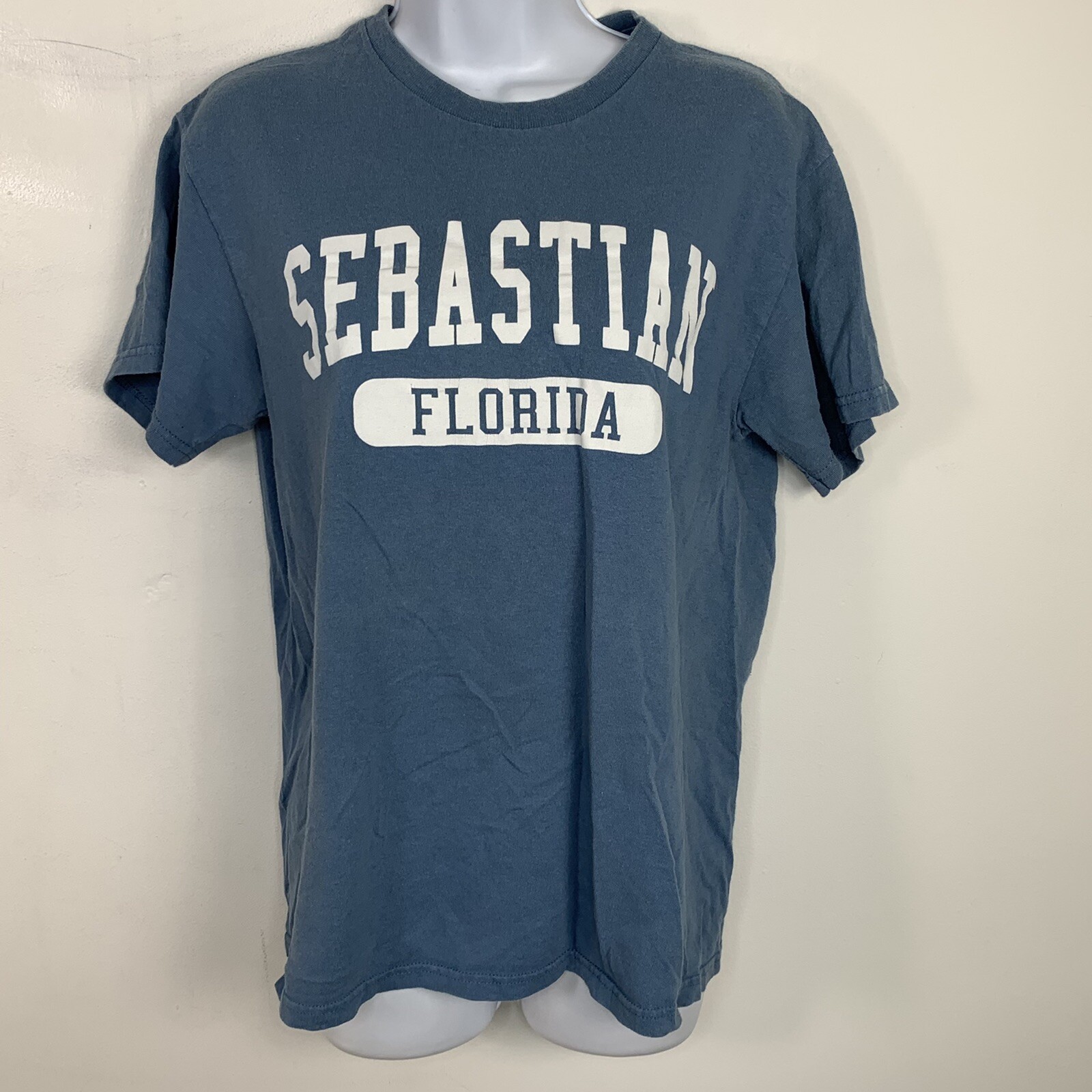 Delta Pro Weight T Shirt sz M Blue Sebastian Florida Retro Tourist Chic Casual gallery