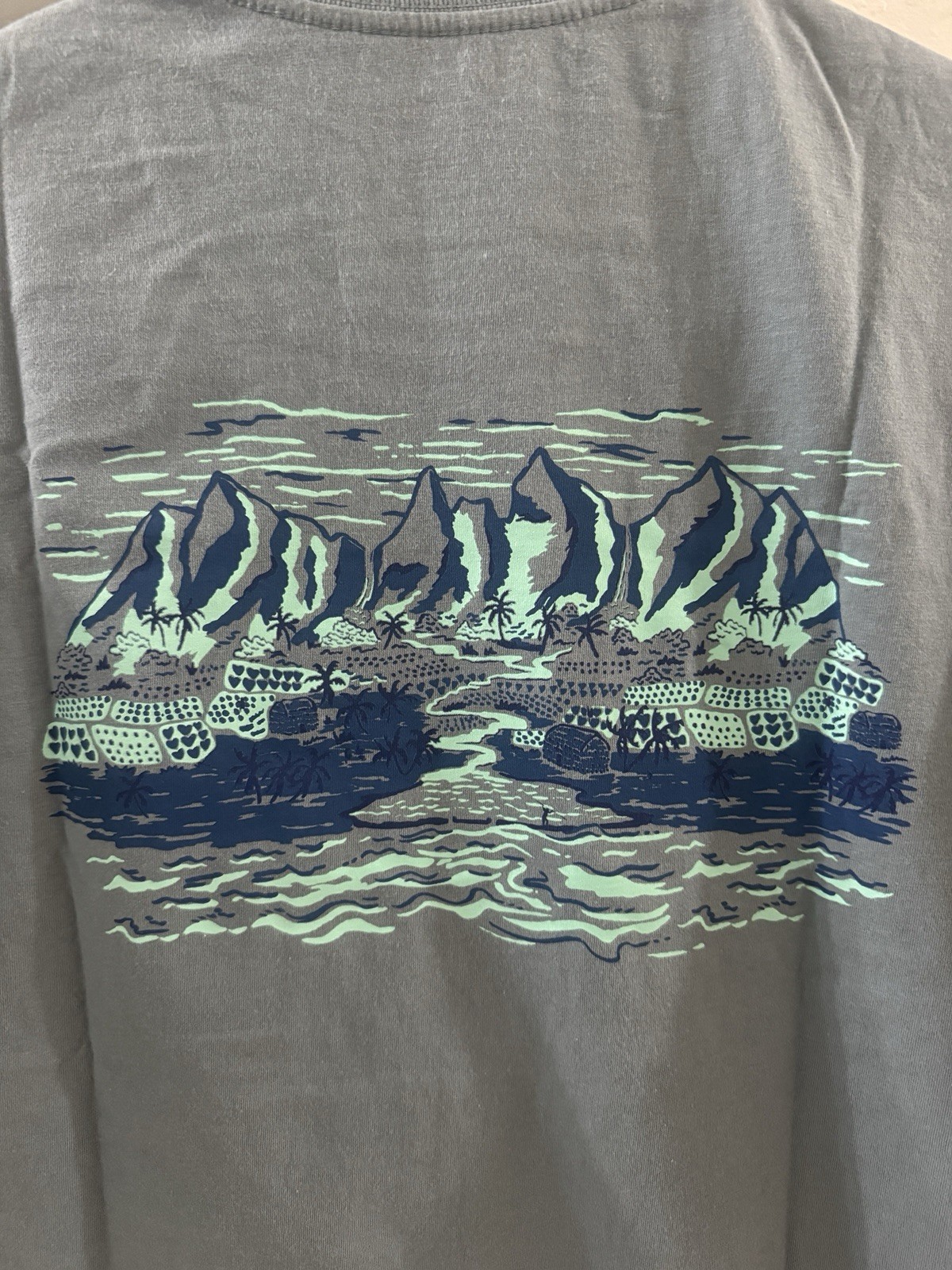 Patagonia M's Malama 'Aina Pocket T-Shirt - Hawaii 37852 Color: BLSG Size: S New gallery
