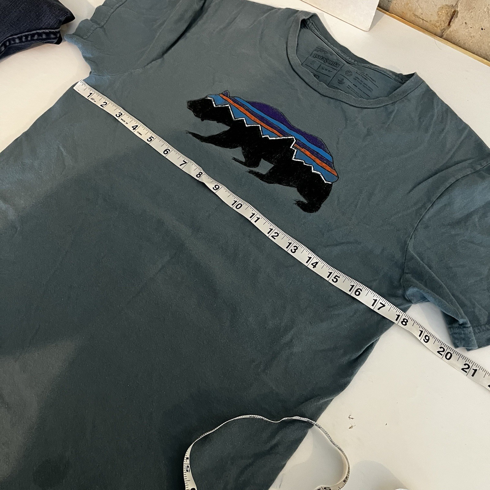Patagonia Mens Slim Fit Small Teal Green Graphic Tshirt Bear Logo Hiking Outdoor gallery