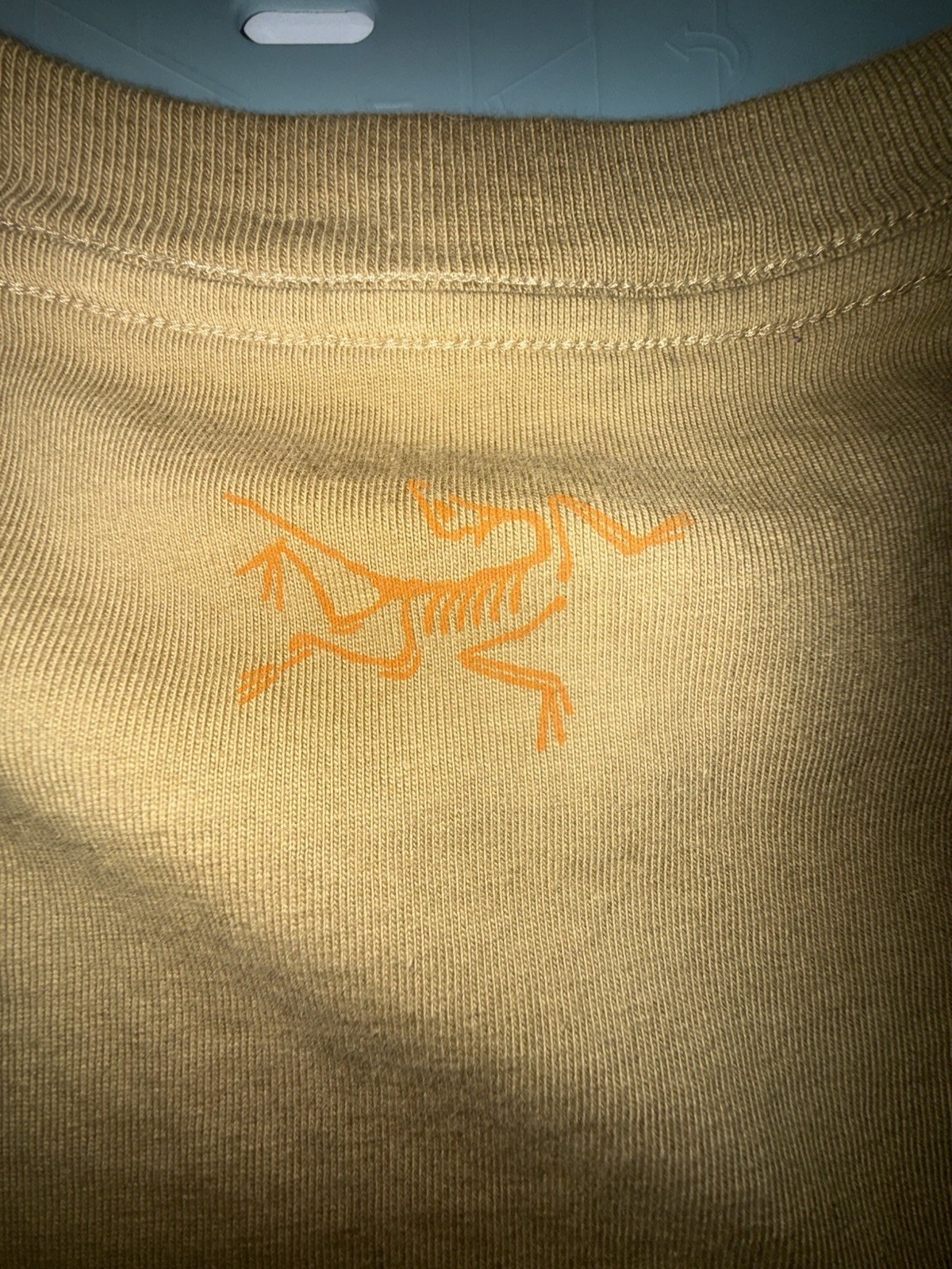Arc'teryx Graphic Logo Crew Neck Short Sleeve T-Shirt L Brown gallery