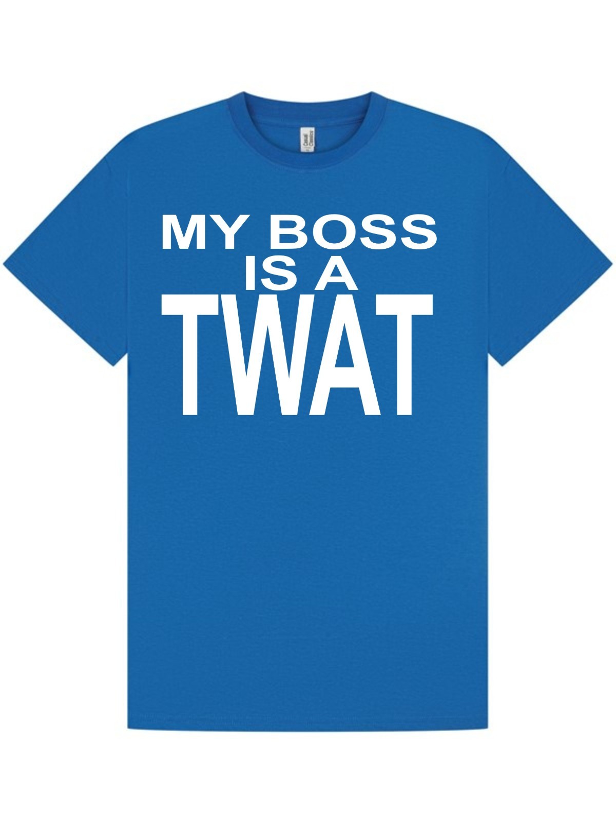 MY BOSS Is A T*** T-shirt / Tee / Rude / Office Party / Work / Birthday / S-XXL gallery