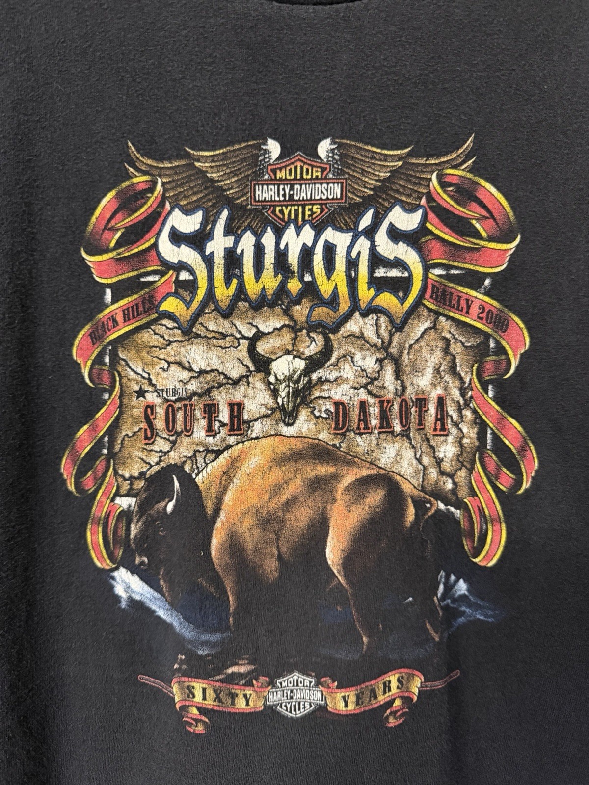 Vintage Sturgis Black Hills Rally 2000 Shirt L South Dakota Harley Davidson USA gallery