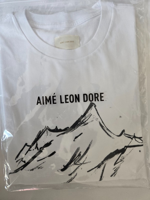 Aimé Leon Dore/ALD Summit Tee Medium (*New) gallery