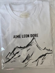 Aimé Leon Dore/ALD Summit Tee Medium (*New)