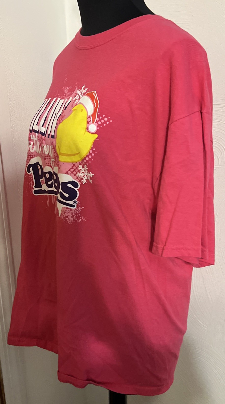 Chillin With My Peeps Candy Winter Funny Unisex T-Shirt XL Vintage RARE Easter gallery