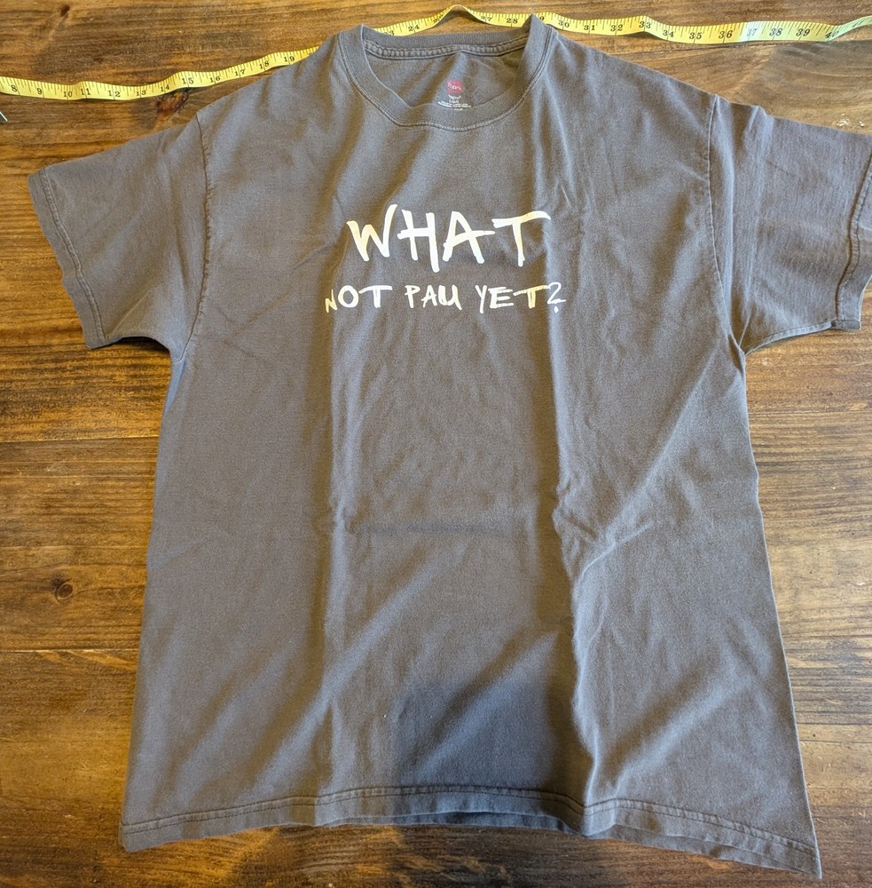 Pidgin Overdrive “What Not Pau Yet?” Charcoal Gray Graphic T-Shirt Hanes Size L