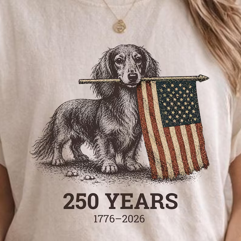 Long Haired Dachshund American Flag Shirt, Patriotic Wiener Dog Tee, Vintage Wei