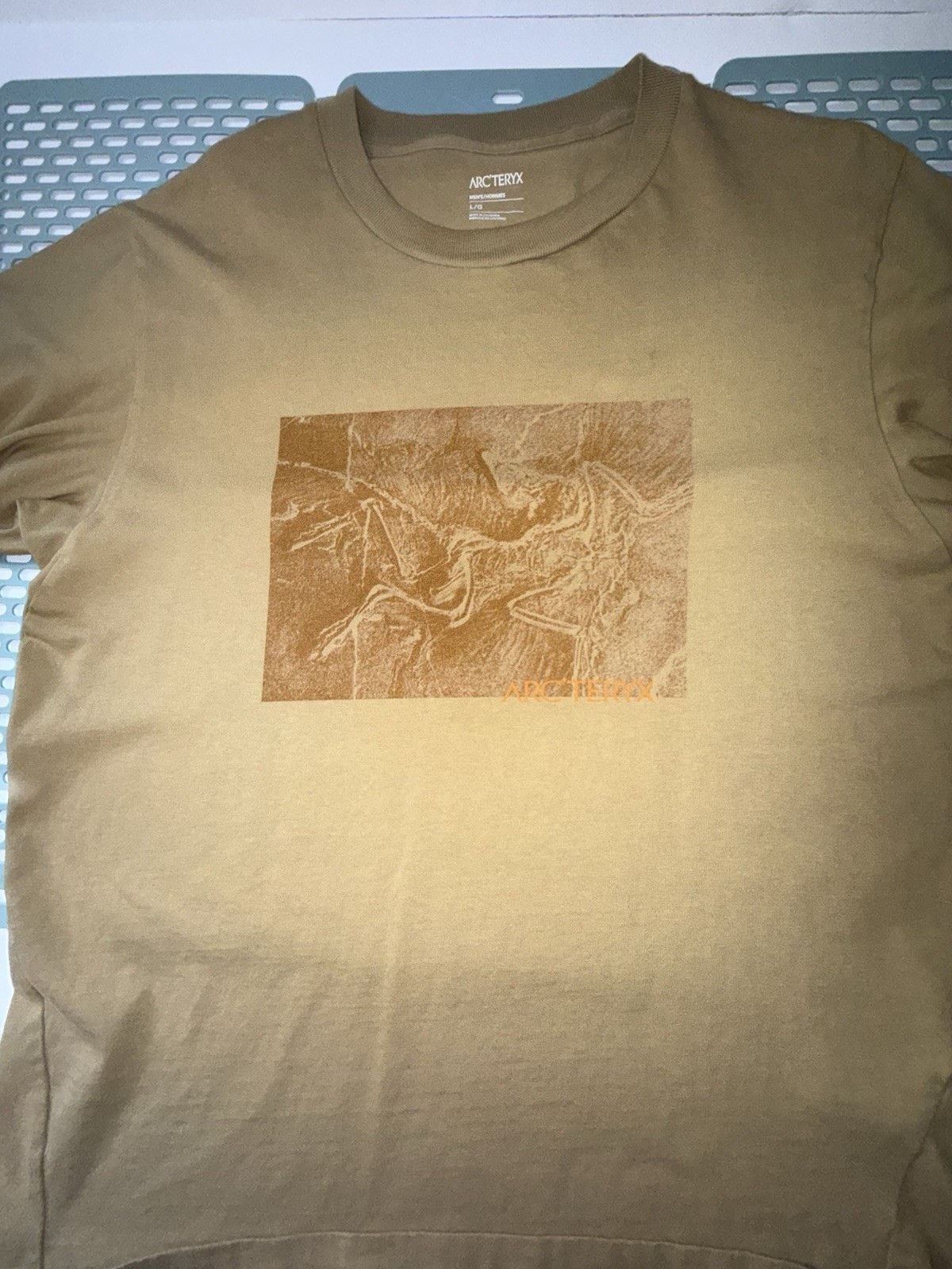 Arc'teryx Graphic Logo Crew Neck Short Sleeve T-Shirt L Brown gallery