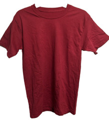 Hanes Authentic-T Men’s Plain Crewneck Short Sleeves T Shirt 5250