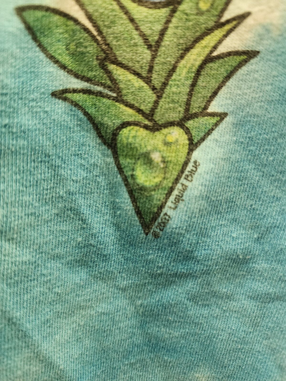 Vtg Unisex 2007 LIQUID BLUE RAINFOREST CAFE T-SHIRT FROGS XXL gallery