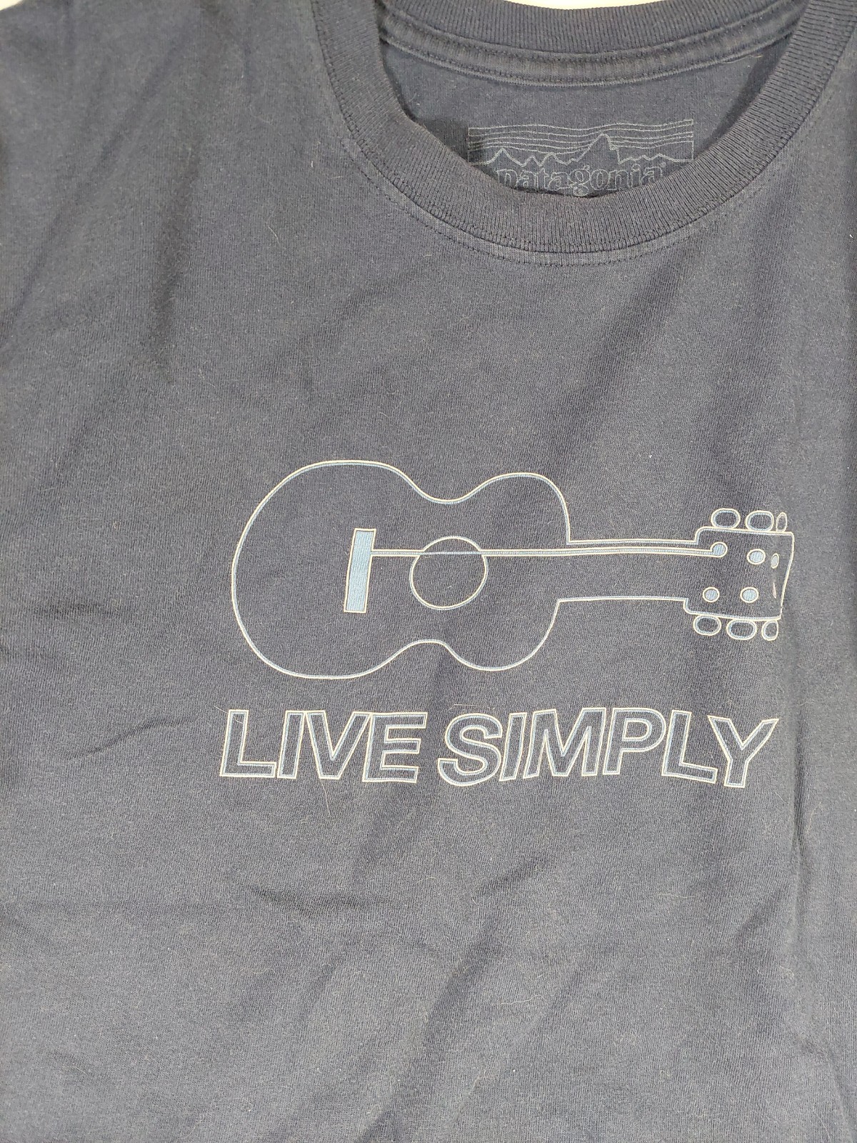 Patagonia Live Simply One String Guitar Logo Grey Tee-Shirt Size M gallery