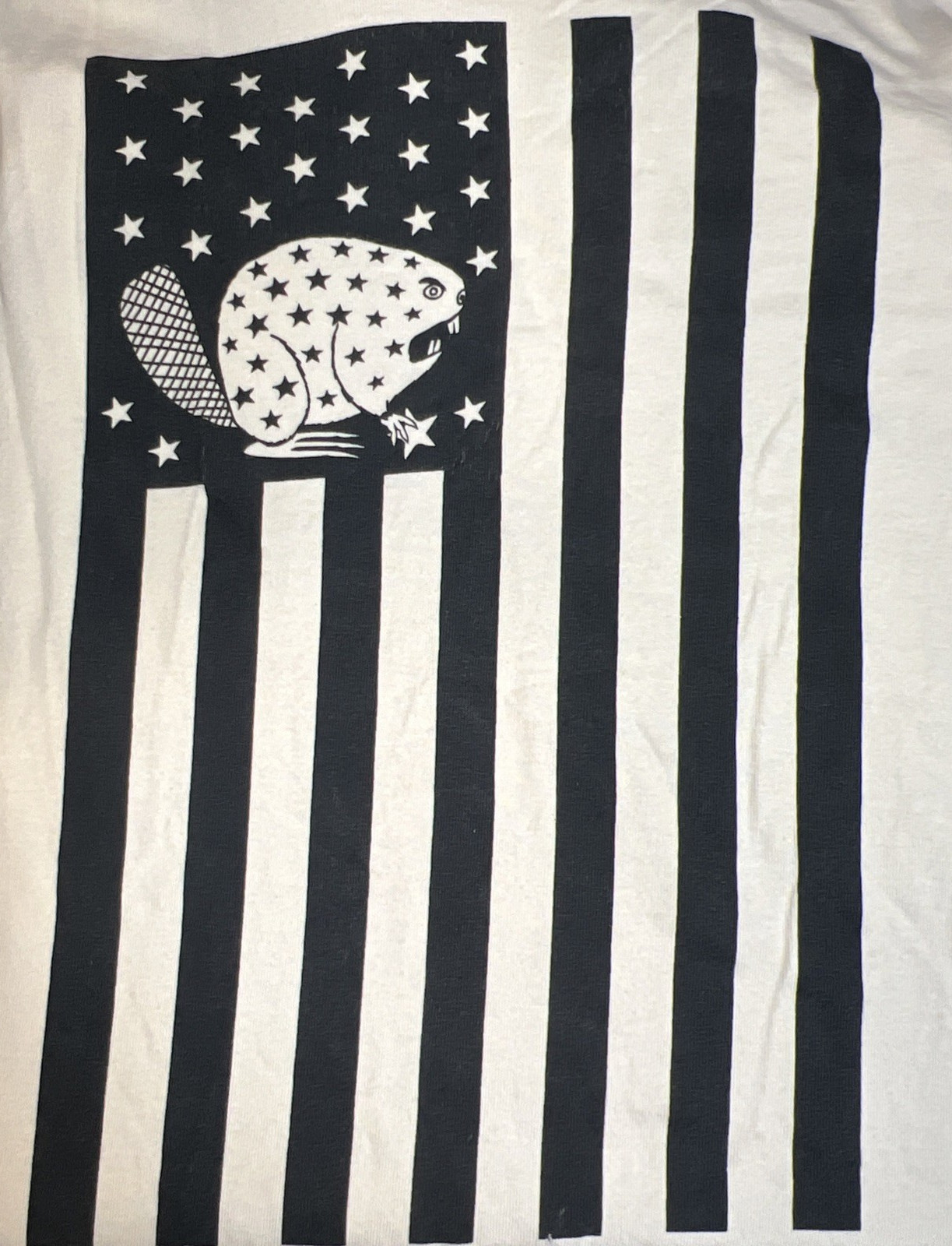 Duluth Trading Longtail T 2XL Relaxed Fit Ivory Angry Beaver Flag Graphic USA gallery