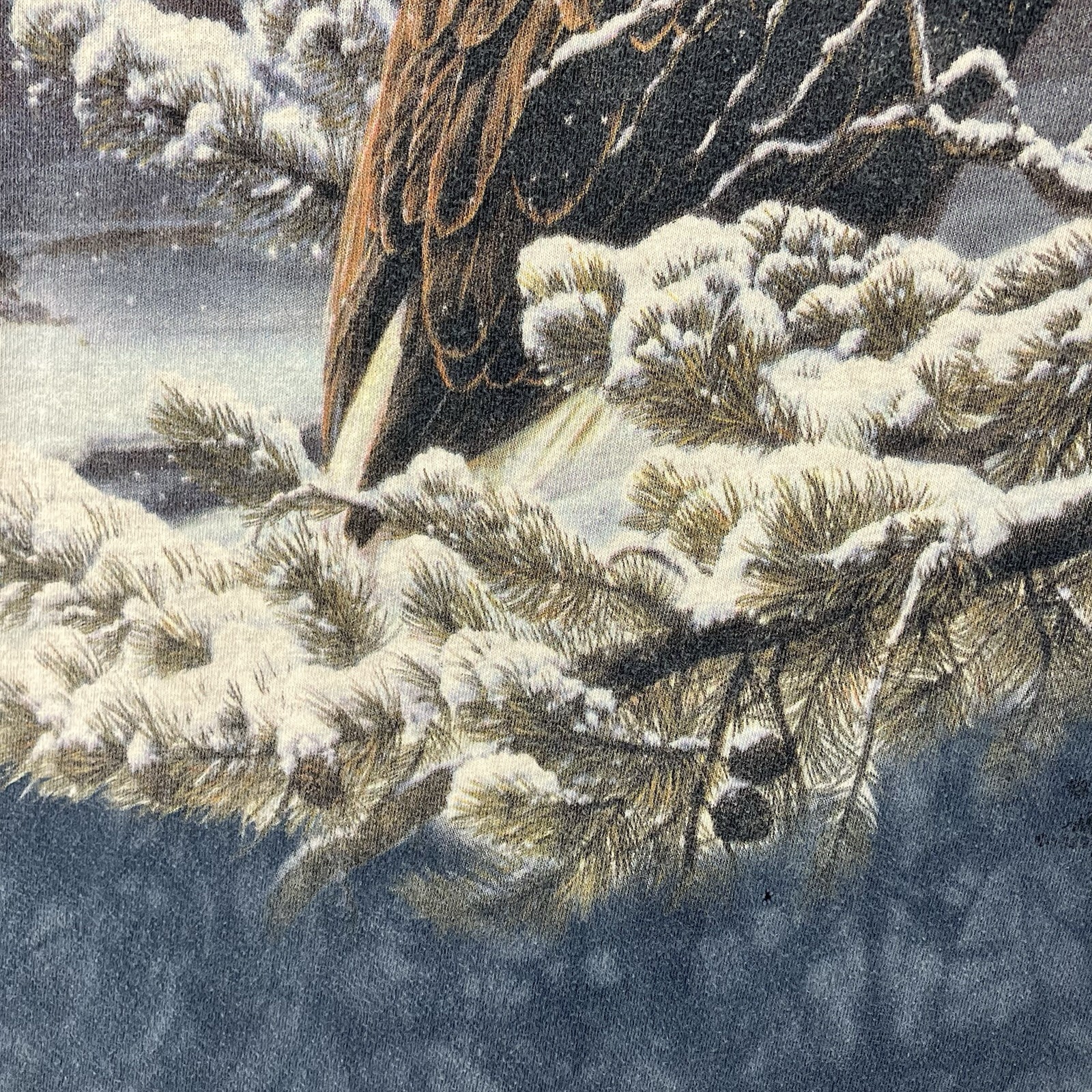 Nature Shirt Mens Large Bald Eagle Winter Scene Washed Blue The Mountain gallery