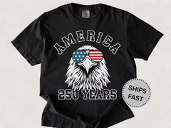 250 Year Shirt, USA Tee, Retro Funny Mens 4th of July Shirt