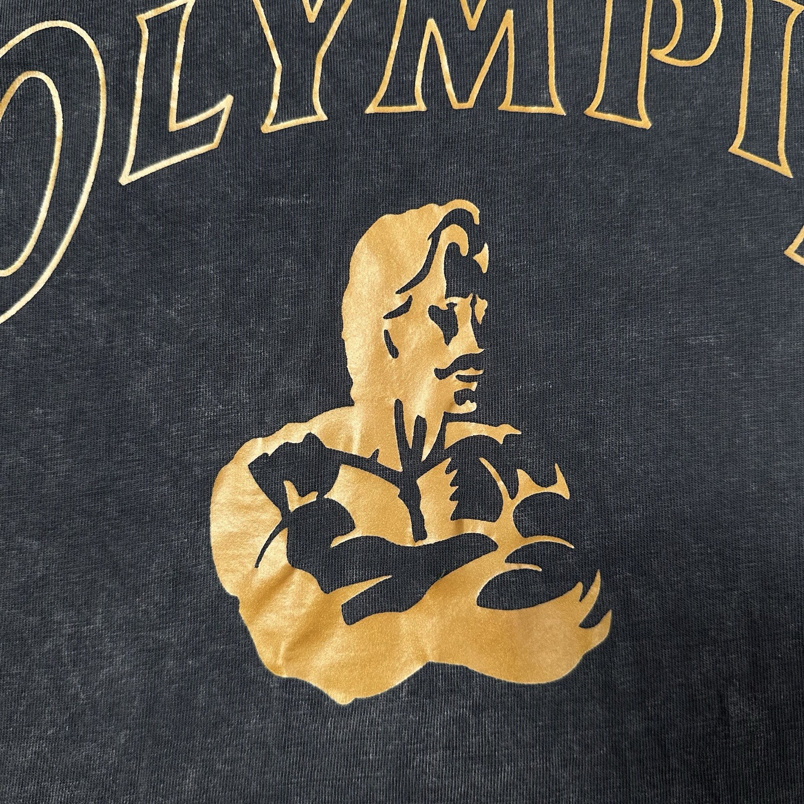 Joe Weider Mr Olympia Oversized Heavyweight T-Shirt Bodybuilding Gym Mens M gallery