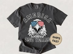 250 Year Shirt, USA Tee, Retro Funny Mens 4th of July Shirt