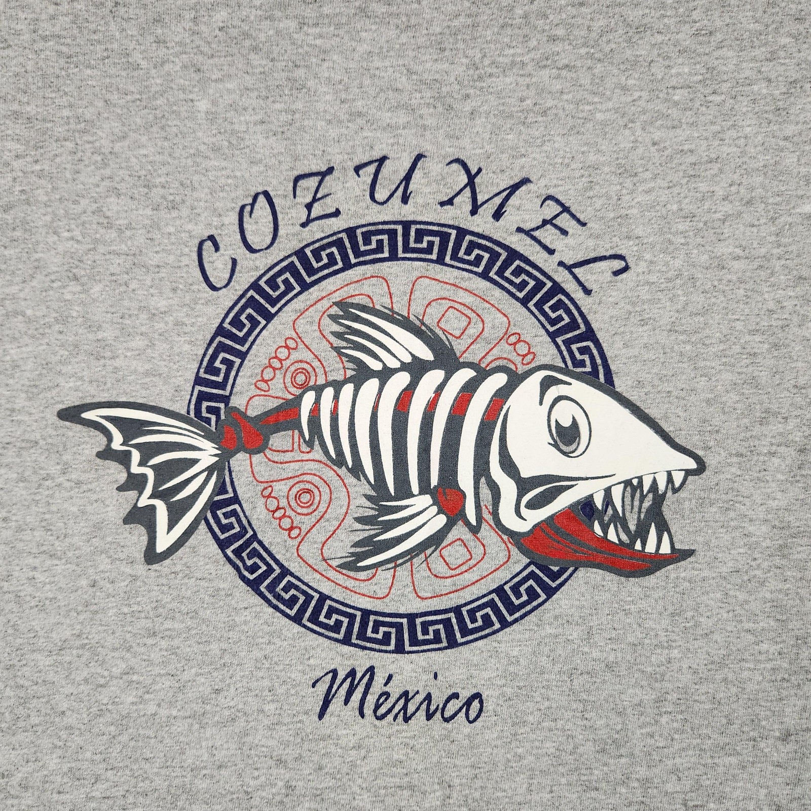 Cozumel Mexico Shirt Mens Medium Gray Fish Skeleton Graphic Logo Y2k Souvenir