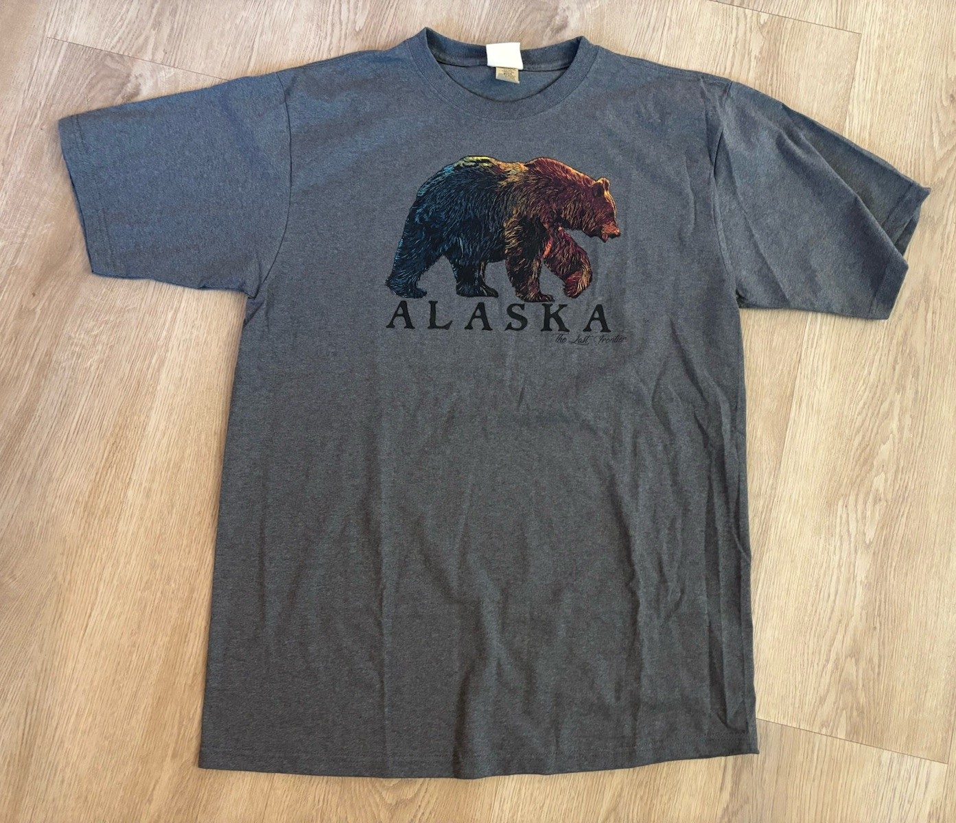 Vintage Y2K Alaska The Last Frontier T-shirt XL Eco & Mountain USA Made EUC gallery