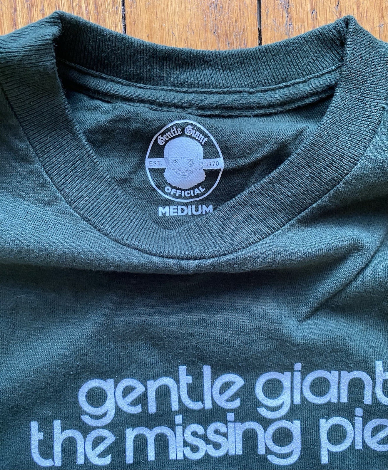 Rare Official GENTLE GIANT The Missing Piece Long Sleeve Shirt Prog Rock gallery