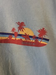 Speedo 2000’s Vintage Size Large Tshirt Palm Tree Light Blue