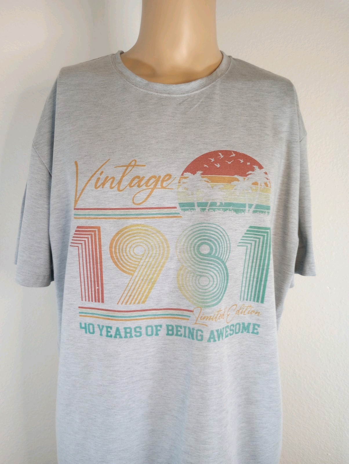 Cricut Men's Vintage 1981 95% Polyester 5% Elastane 2XL Crew Neck SS Multicolor gallery