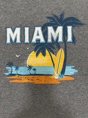 Gildan Soft Style Unisex Gray Graphic Miami T-Shirt Travel Souvenir 2XL