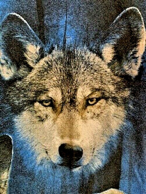 NEW Eco Mountain Men's Vintage Yellowstone Four Wolf T-Shirt Blue Heather S gallery