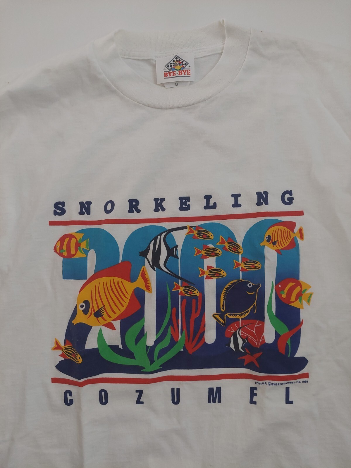 Vintage Y2K T Shirt 1999 Snorkeling Cozumel 2000 Fish Print Marine gallery