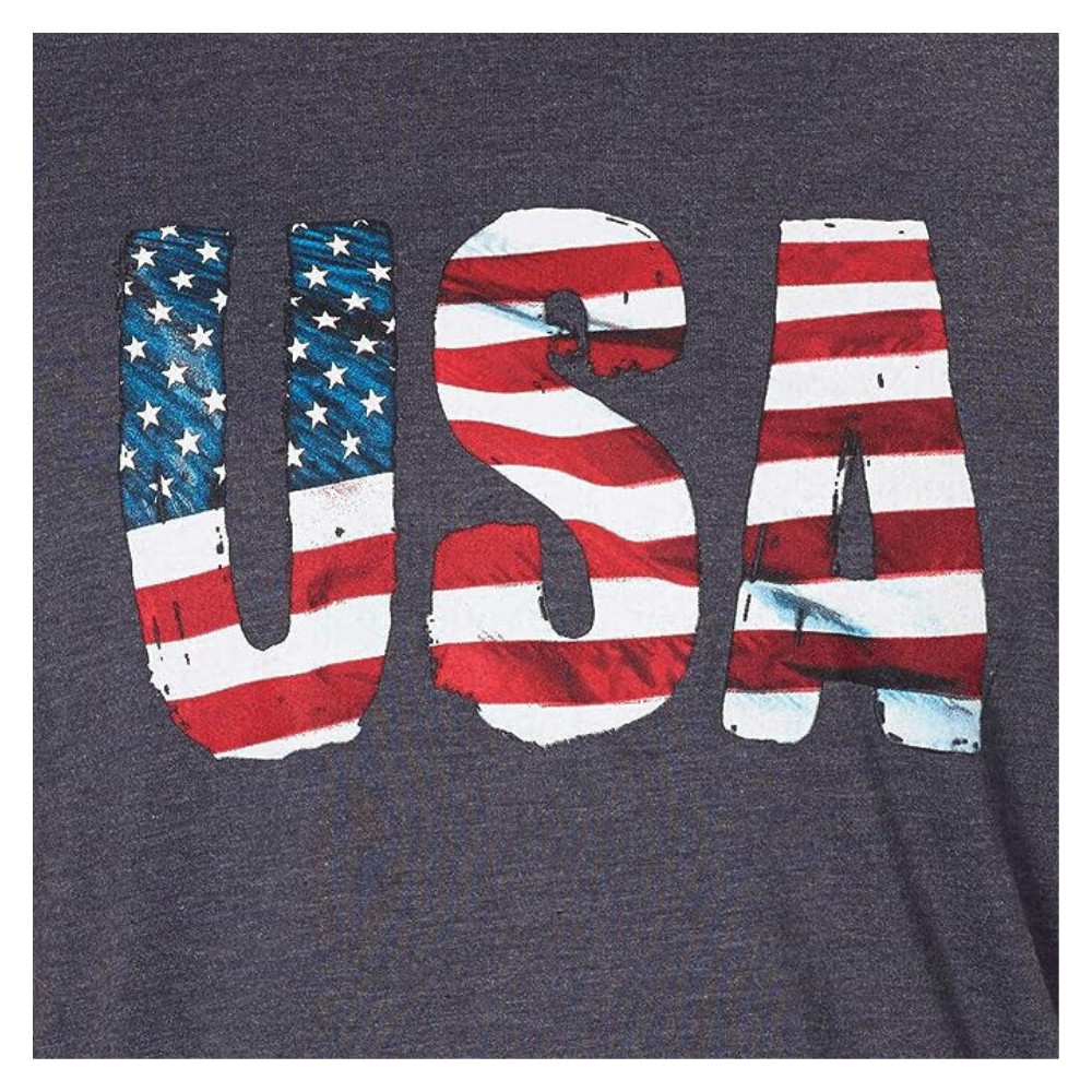GALT USA Signature Men's Graphic Tee T Shirt Printed Flag, Gray, Size XL gallery
