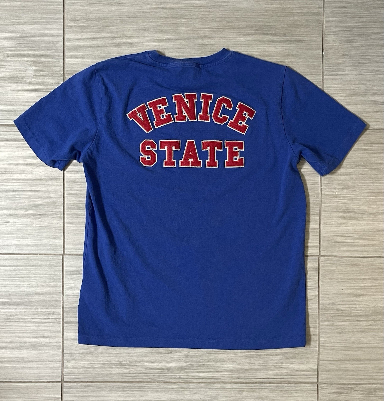 Diesel Venice State Embroidered Blue T Shirt Double Sided Men’s Fits Large (XL) gallery