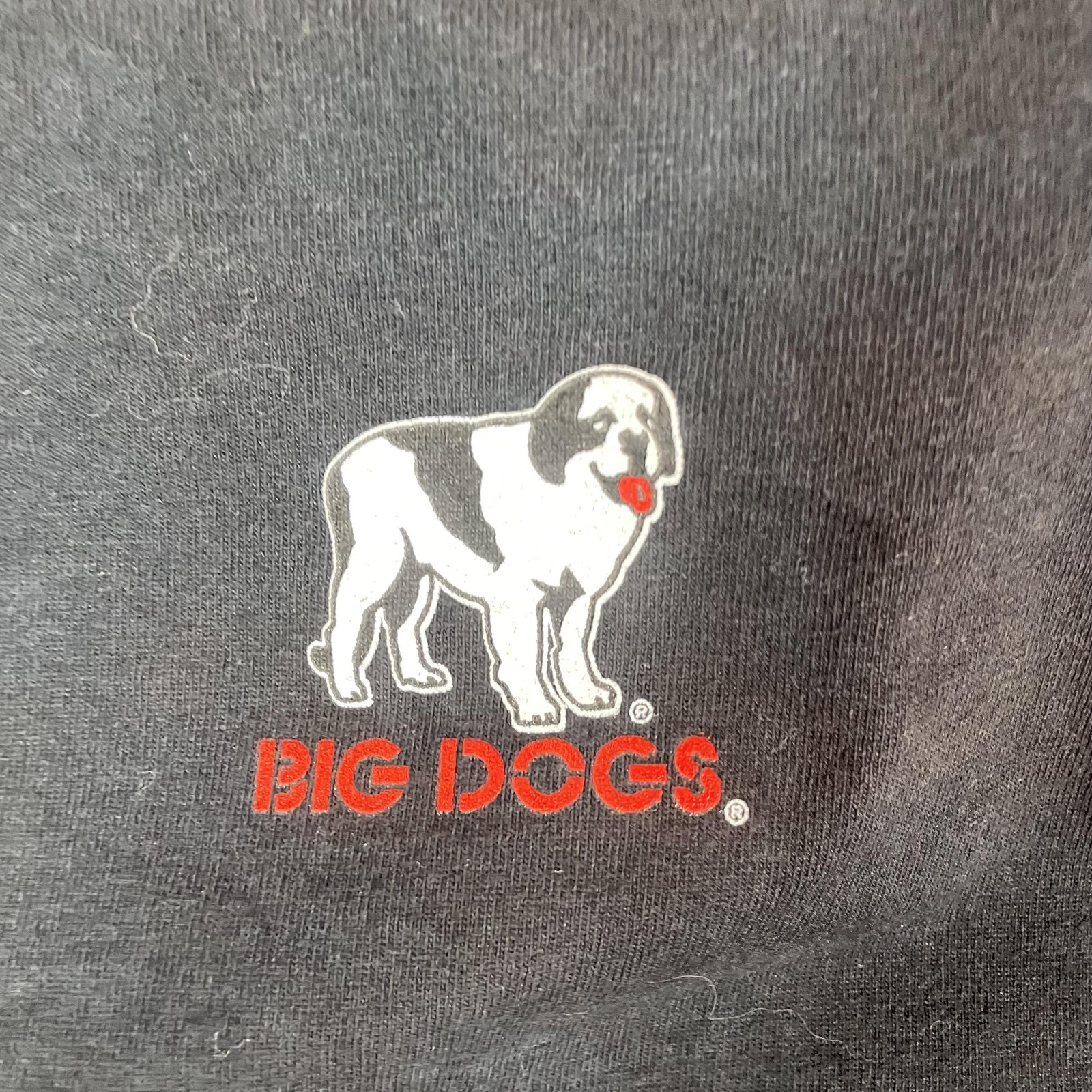 Big Dogs Shirt Mens 5XL Black Pirates Caribbean Parody Skull Graphic Tee Top gallery