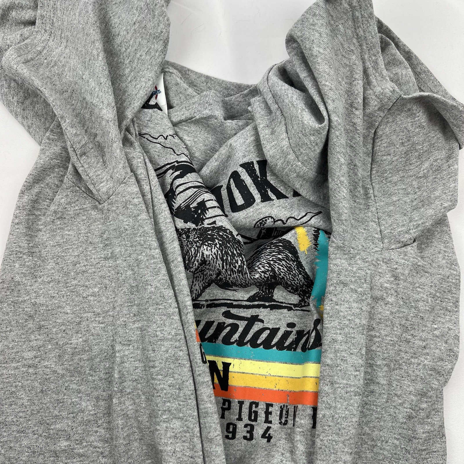Great Smoky Mountains National Park Gray Tee Multi Neon Color Bear Graphic gallery