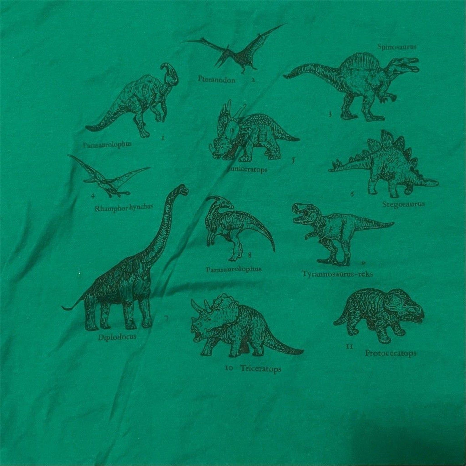Machine Wash Cold T-Shirt Unisex Adults Size L Green Dinosaur Chart gallery