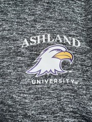 Nike DriFit Ashland University Eagles Men’s XL Gray Lightweight 1/4 Zip Pullover