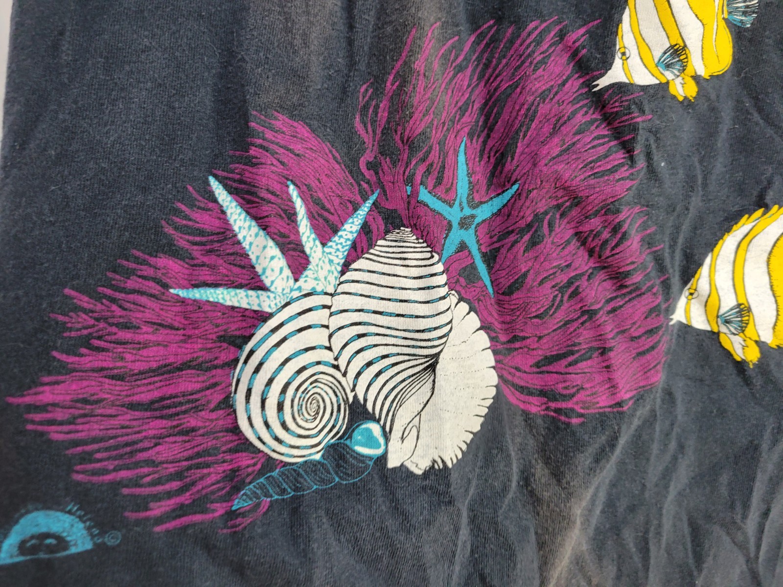 Vintage Fish Seashell Aquatic 80s/90s T-Shirt Single Stitch Angelfish Black Sz L gallery