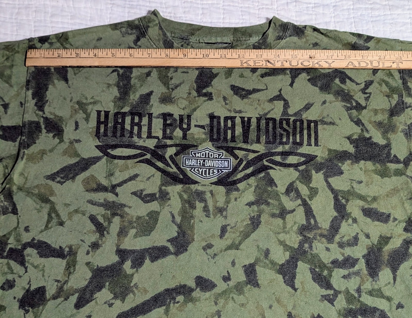RARE Harley Davidson GHOST TOWN Men's L (No Tag) Green Crinkle Dye Y2K NC Eagle gallery