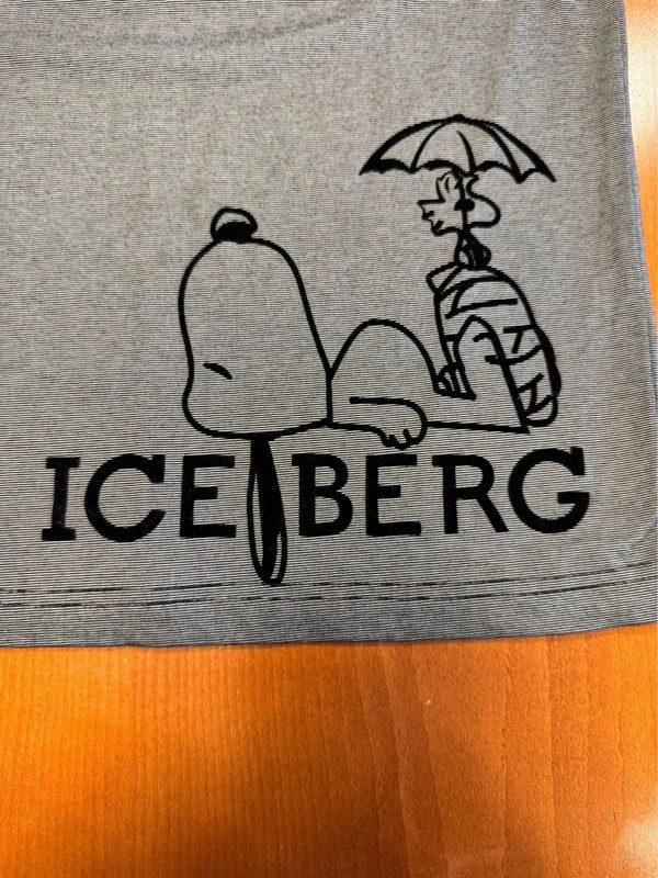 Iceberg Snoopy Save Our Planet Earth Day T-Shirt Mens M/L Designer Excellent Condition gallery