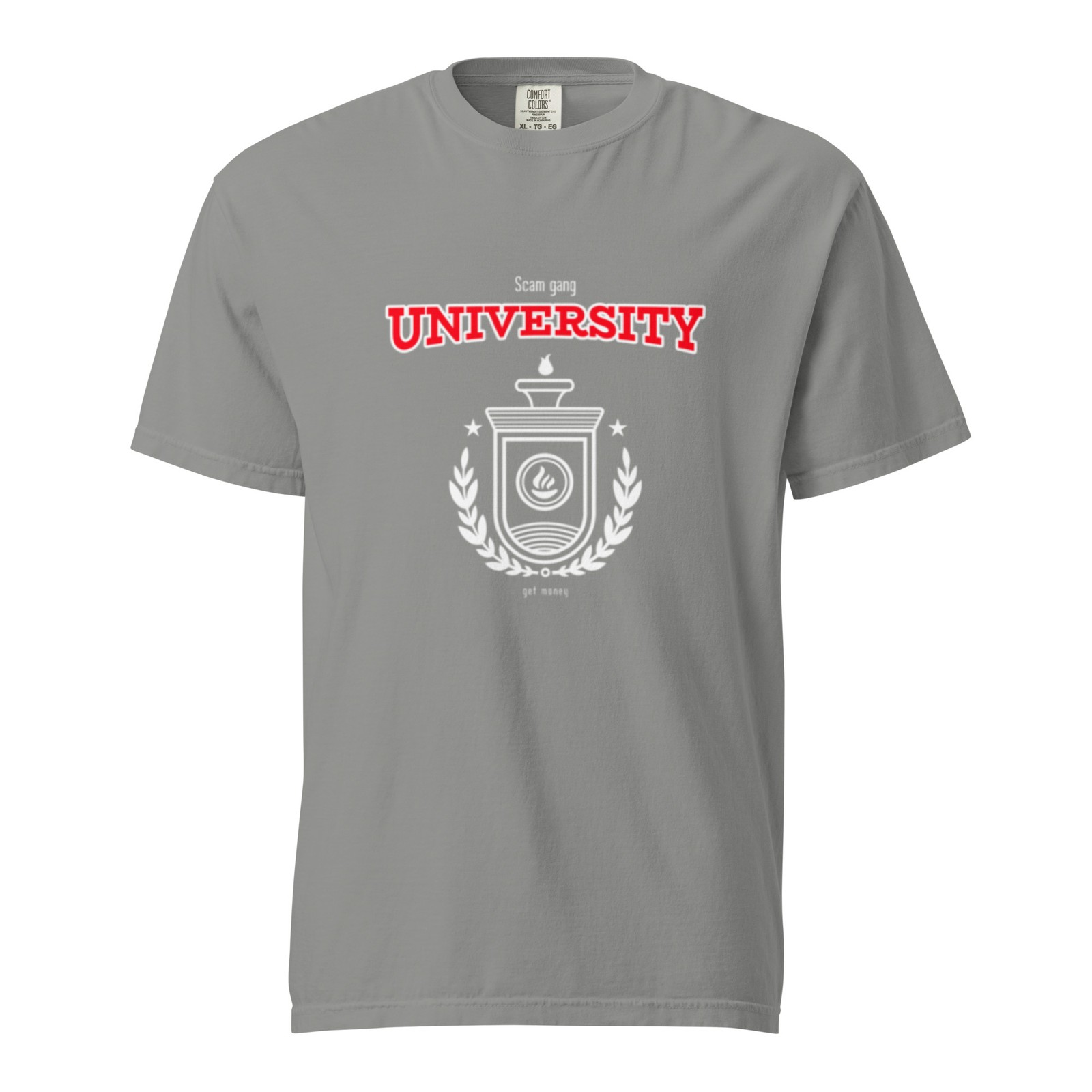 Scam Gang University Gray