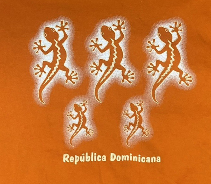 Vintage Dominican Republic Caribbean Taino Lizard Graphic Orange T Shirt Small gallery