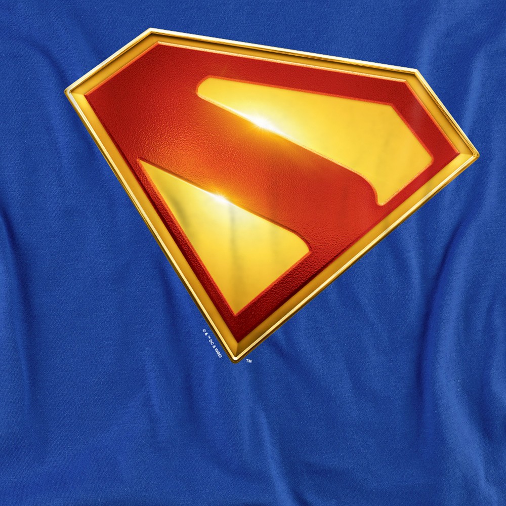 Superman 2025 New Logo Color Graphic Tee For Men & Women, Royal, S-6XL gallery