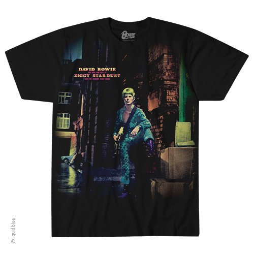DAVID BOWIE-The Rise n Fall-ZIGGY STARDUST-T-SHIRT S-M-L-XL-2X gallery