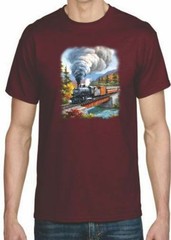TRANSFER – TRAIN CROSSING – SPRING / WINTER