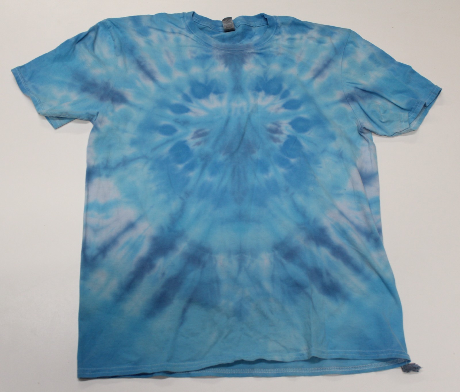 Tie Dye T-Shirt Adult L Blue Sad Axolotl Gildan Softstyle Cotton Short Sleeve
