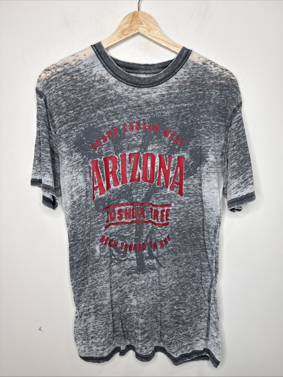 Grand Canyon Joshua Tree Arizona Paper Thin Burnout Graphic Tee T-Shirt Men's M gallery