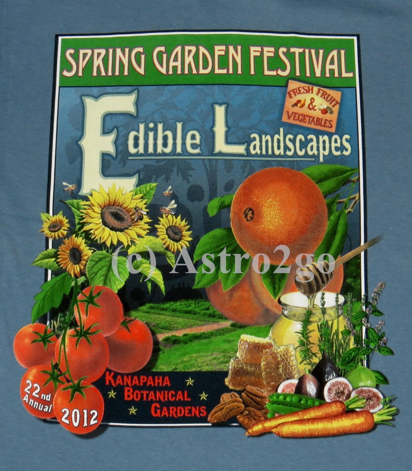 2012 SPRING GARDEN FESTIVAL, KANAPAHA BOTANICAL GARDENS–Flowers T shirt Sm only
