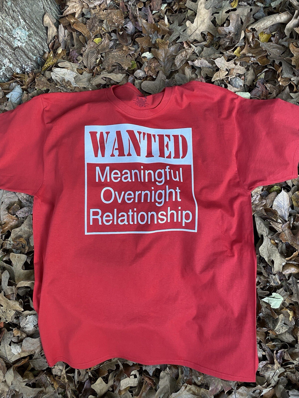Wanted Meaningful Overnight Relationship Tshirt Choose Size And Color Small-2xl gallery