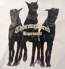 Doberman Dogs Thoroughbred Represent T Shirt Size Large measurements